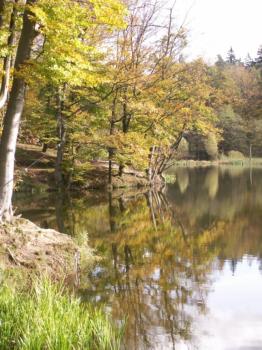W czasie jednej z poprzednich wypraw uczestnicy byli na Jeleniej Dolinie... Fot.: archiwum eswiatowid.pl