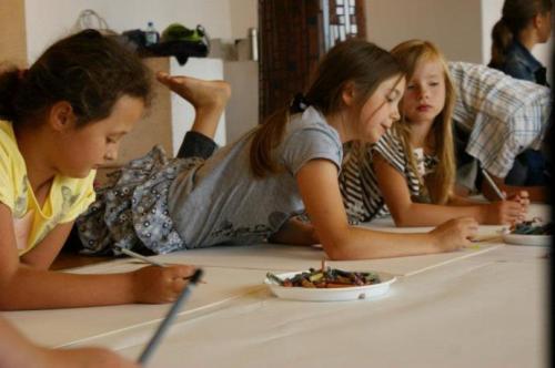 fot. materiały prasowe CSE